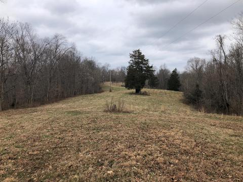 1820 E Piney Rd, Dickson, TN 37055 photo 3