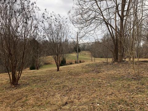 1820 E Piney Rd, Dickson, TN 37055 photo 10