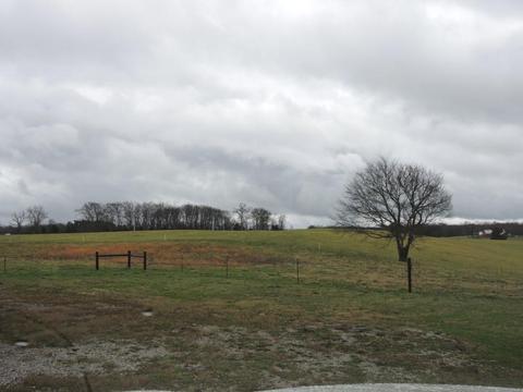 1748 Hickory Grove Rd, Morrison, TN 37357 photo 5