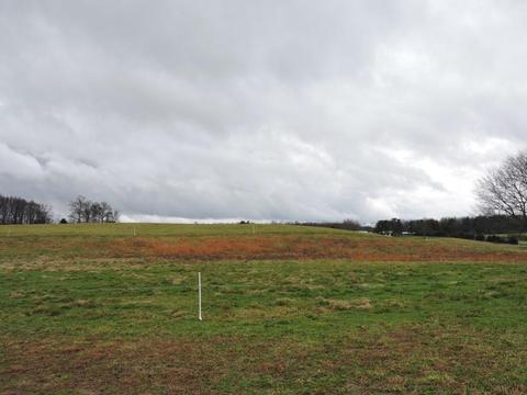 1748 Hickory Grove Rd, Morrison, TN 37357 photo 8