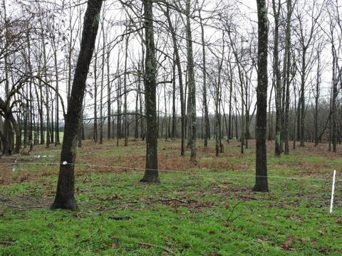 1748 Hickory Grove Rd, Morrison, TN 37357 photo 6