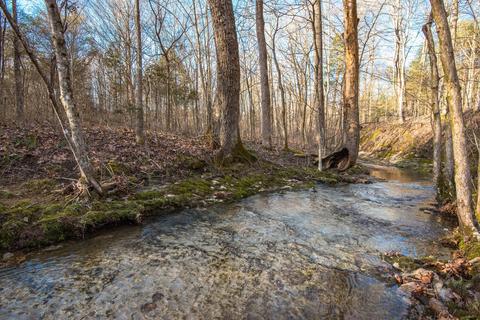 7165 Bahne Rd, Fairview, TN 37062 photo 1