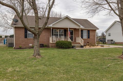 1252 Hillside Dr, Springfield, TN 37172 photo 19