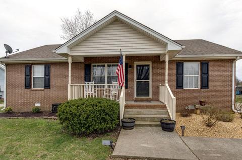 1252 Hillside Dr, Springfield, TN 37172 photo 21