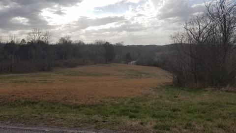 3776 Mcfall Rd, Palmyra, TN 37142 photo 8