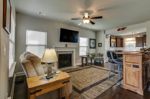 1045 Daniel Ln, Spring Hill, TN 37174 photo 3