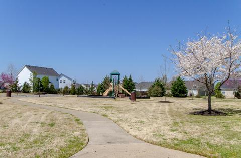 3306 Risen Star Dr, Murfreesboro, TN 37128 photo 14