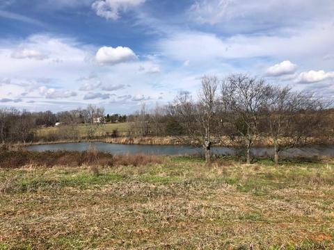 1531 Stubblefield Rd, Morrison, TN 37357 photo 15