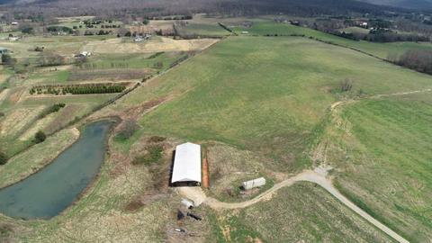 1531 Stubblefield Rd, Morrison, TN 37357 photo 7