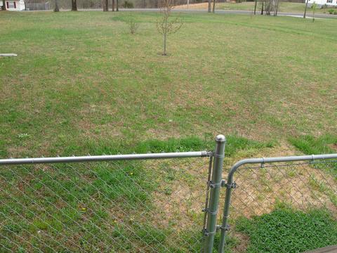 594 Murrell Rd, Dickson, TN 37055 photo 26