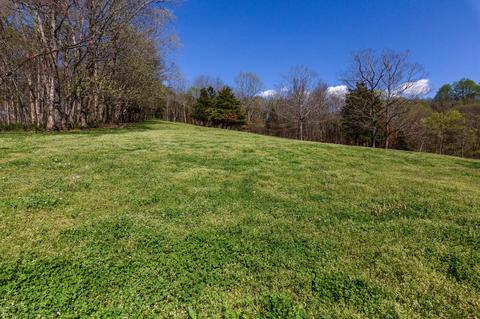 1908 Dr Robinson Rd, Spring Hill, TN 37174 photo 28