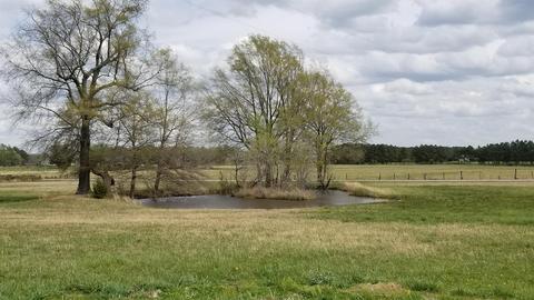 2515 Martin Rd, Morrison, TN 37357 photo 2