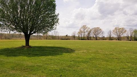 2515 Martin Rd, Morrison, TN 37357 photo 25