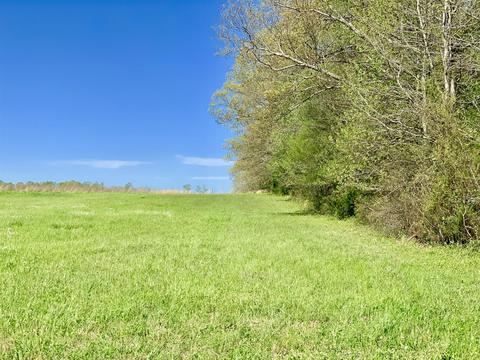2205 Pocahontas Rd, Morrison, TN 37357 photo 6