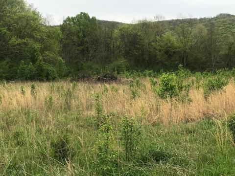 0 Sr 108, Morrison, TN 37357 photo 1