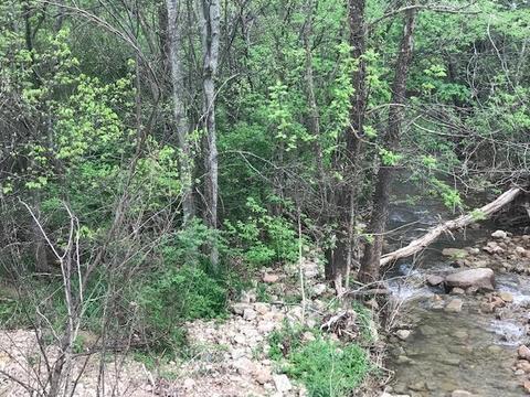 0 Sr 108, Morrison, TN 37357 photo 2