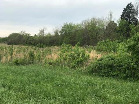 0 Sr 108, Morrison, TN 37357 photo 3