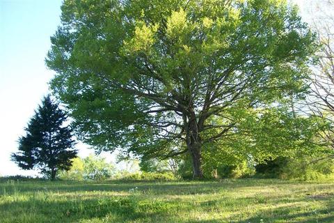 248 Humphrey Rd, Walling, TN 38587 photo 3
