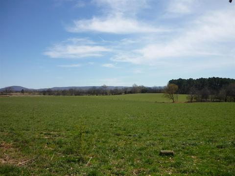 184 Phillips Ln, Morrison, TN 37357 photo 8