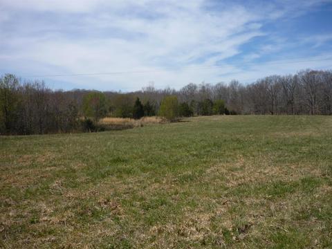 184 Phillips Ln, Morrison, TN 37357 photo 11