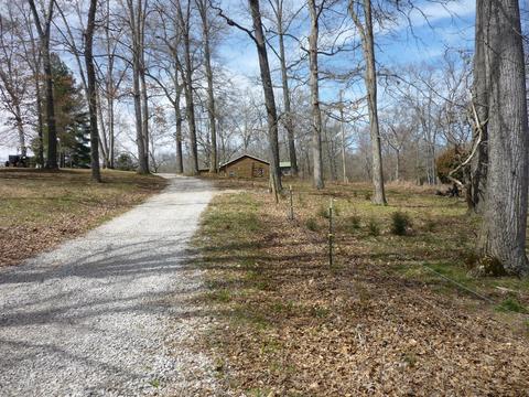184 Phillips Ln, Morrison, TN 37357 photo 3