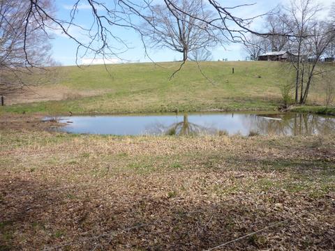 184 Phillips Ln, Morrison, TN 37357 photo 4
