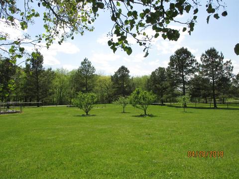 1355 Mitchell Rd, Pulaski, TN 38478 photo 24