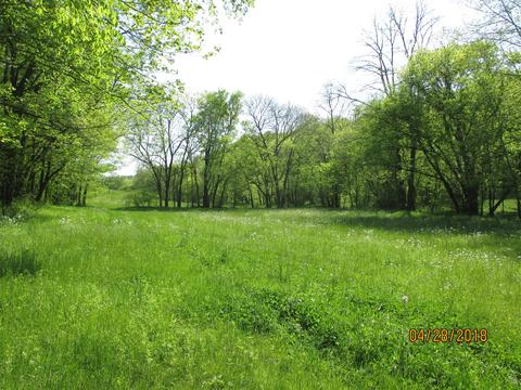 1355 Mitchell Rd, Pulaski, TN 38478 photo 30