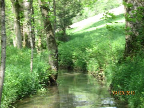 1355 Mitchell Rd, Pulaski, TN 38478 photo 27