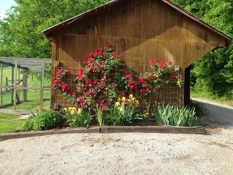 1355 Mitchell Rd, Pulaski, TN 38478 photo 23