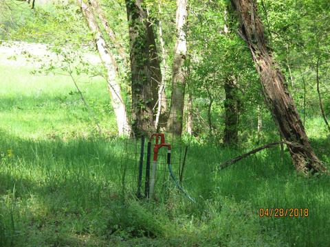 1355 Mitchell Rd, Pulaski, TN 38478 photo 29
