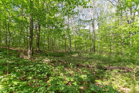 3909 Green Rd, Springfield, TN 37172 photo 5
