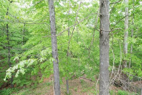 121 Brookside Pt, Springfield, TN 37172 photo 2