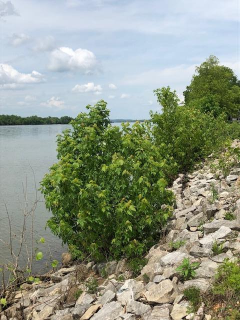 436 Eagle Overlook Loop, Linden, TN 37096 photo 9
