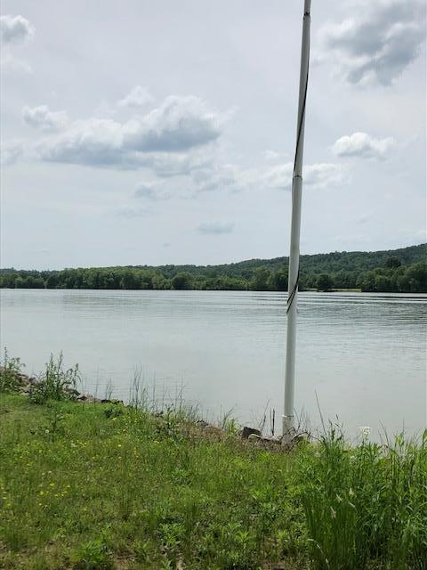 436 Eagle Overlook Loop, Linden, TN 37096 photo 1