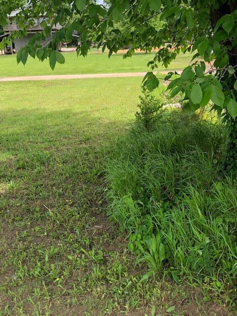 436 Eagle Overlook Loop, Linden, TN 37096 photo 8