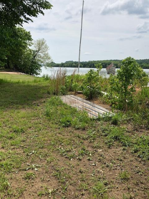 436 Eagle Overlook Loop, Linden, TN 37096 photo 15