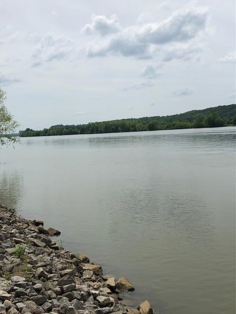 436 Eagle Overlook Loop, Linden, TN 37096 photo 11