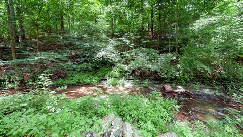 7117 Haskell School Rd, Fairview, TN 37062 photo 30