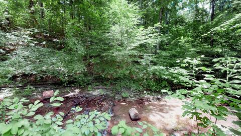 7117 Haskell School Rd, Fairview, TN 37062 photo 29