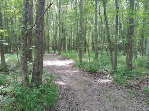 4055 Flewellyn Rd, Springfield, TN 37172 photo 25