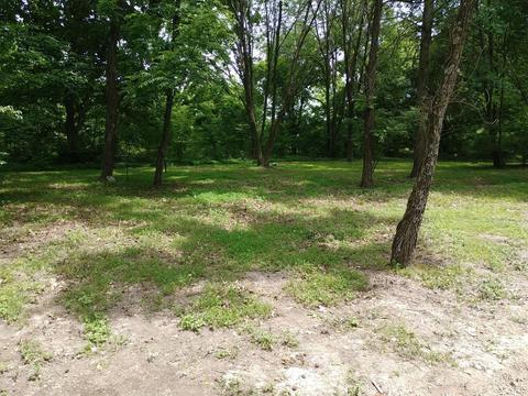 4055 Flewellyn Rd, Springfield, TN 37172 photo 20