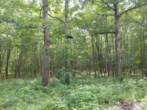 4055 Flewellyn Rd, Springfield, TN 37172 photo 27