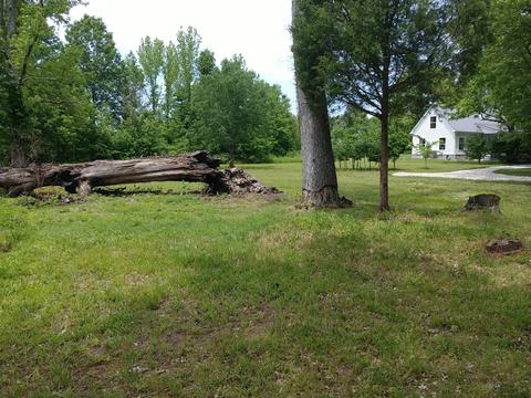 4055 Flewellyn Rd, Springfield, TN 37172 photo 23