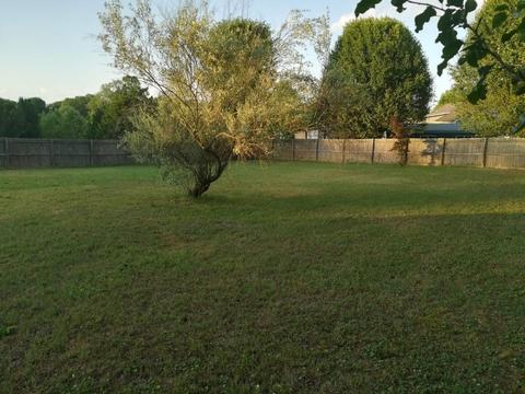 56 Peach Ave, Morrison, TN 37357 photo 6