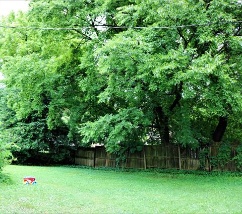 404 Grace St, Springfield, TN 37172 photo 7