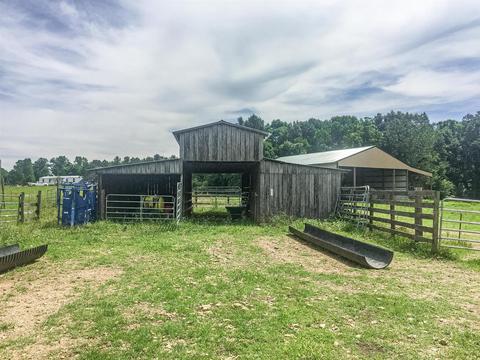 267 Weakley Loop, Ethridge, TN 38456 photo 13
