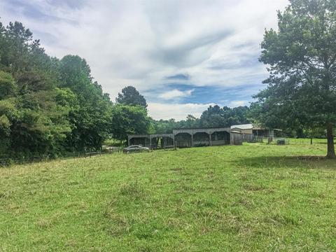 267 Weakley Loop, Ethridge, TN 38456 photo 10