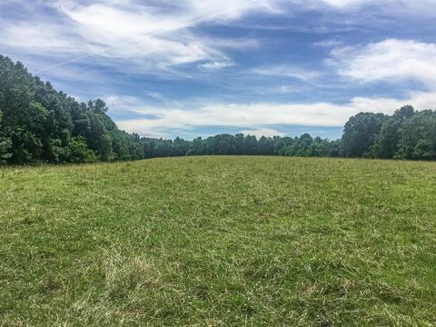 267 Weakley Loop, Ethridge, TN 38456 photo 6