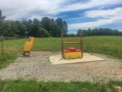 267 Weakley Loop, Ethridge, TN 38456 photo 20